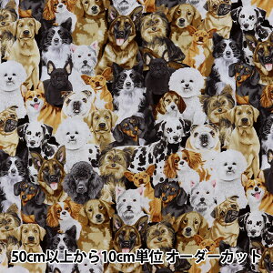 y5z n wUSARbg  C8553-MULTIx