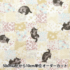 y5z n wIbNX L`FbN x[W NOX-CACH-BEx KOKKA RbJ