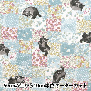 y5z n wIbNX L`FbN u[O[ NOX-CACH-BLGRx KOKKA RbJ