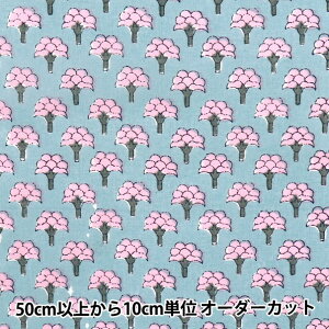 y5z n wCh{Cvg ԕ O[×sN RAM-BOI-25Dx