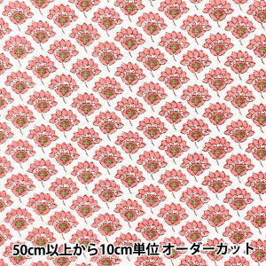 y5z n wCh{Cvg ԕ x[W×sN RAM-BOI-25Gx