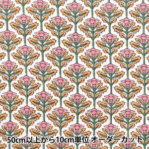 y5z n wCh{Cvg ԕ It×sN RAM-BOI-25Lx