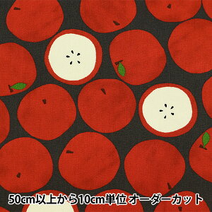 y5z n wIbNXtH[h S `R[ SOPOA-OMENA-Ex yUIWiz