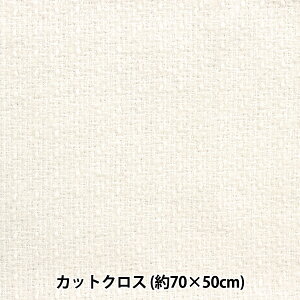 n wt@V[cC[hJbgNX 70cm×50cm C-FATW-1x