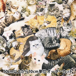 y5z n wUSARbg p[tFNgnOAEg C1033-MULTIx