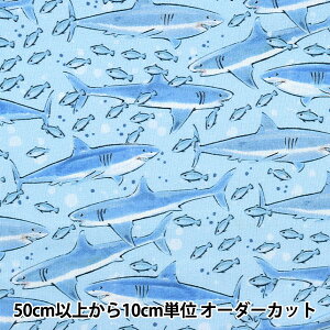 y5z n wUSARbg I[VEu[EV[NX u[ THOMAS-CD1297x