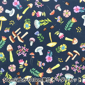�y����5����z ���n �wUSA�R�b�g�� �E�b�h�����h�E�E�B���W�[ DDC9770-NAVYD�x