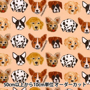 y5z n wIbNX BOUFFANTS&BROKEN HEARTS MULTIDOG B BBH-2Jx