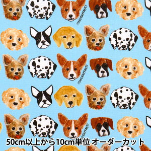 y5z n wIbNX BOUFFANTS&BROKEN HEARTS MULTIDOG S BBH-2Kx