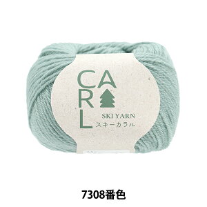 H~ю wXL[J 7308ԐFx SKIYARN XL[[