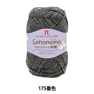 y2023VzH~ю w\mm ApJE[() 175ԐFx Hamanaka n}iJ