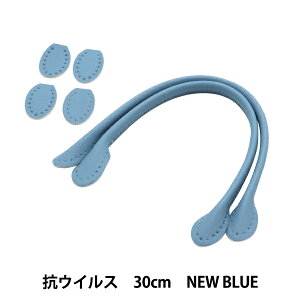 ΂ޗ wRہERECX 玝 30cm New Blue YZ-AV-30-19x