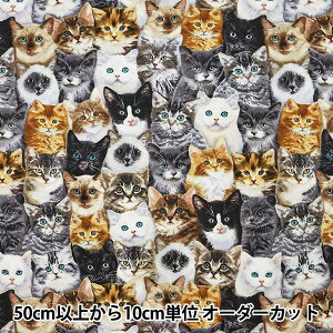 y5z n wCNWFbgvg ˂ C8417-MULTIx USARbg