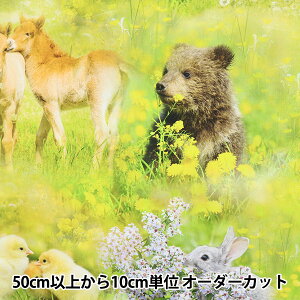 y5z n wCNWFbgvg Aj} T4891-145x