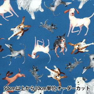 y5z n wUSARbg gXhEhbOX lCr[ DOG-CD1243x