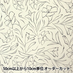 y5z n w21WR[fC\tgH `ԕ AC{[ COR21P-LF-IVx