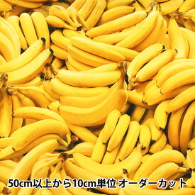 【数量5から】 生地 『USAコットン パックド・バナナズ イエロー FRUIT-CD1371』