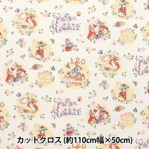 n wIbNX JbgNX 110cm×50cm s[^[rbg o[Xf[p[eB[ sN×s[` PROK-08Bx