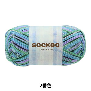 H~ю wSOCK80 (\bNGCeB[) 2ԐFx SKIYARN XL[[