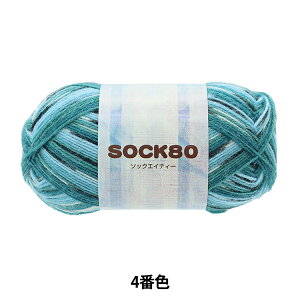 H~ю wSOCK80 (\bNGCeB[) 4ԐFx SKIYARN XL[[