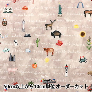 y5z n wUSARbg NXEJg[ DDC9806-TANXDx