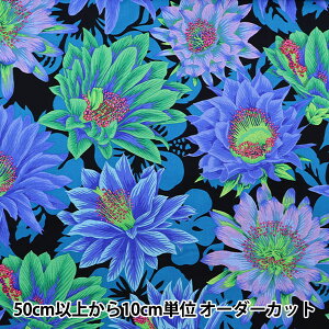 y5z n wUSARbg Kaffe Fassett JN^XEt[ PJ096-COOLx