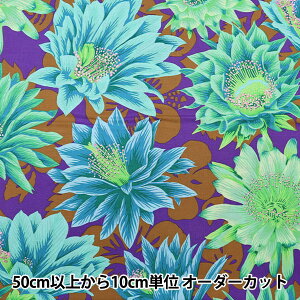 y5z n wUSARbg Kaffe Fassett JN^XEt[ PJ096-EMERALDx