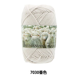 H~ю wSki Tasmanian Polwarth (XL[^X}jA|[X) 7030ԐFx SKIYARN XL[[