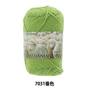 H~ю wSki Tasmanian Polwarth (XL[^X}jA|[X) 7031ԐFx SKIYARN XL[[