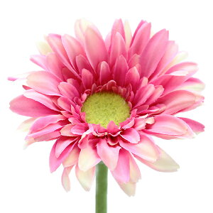  VNt[ wK[x zbgsN V22056-052HT/Px