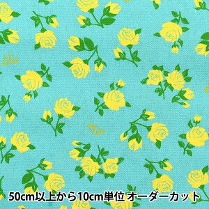 y5z n wAfAg }XJ[h ADERIA-Gx