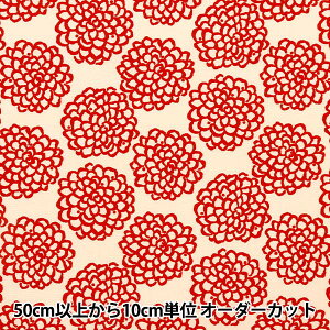 y5z n w̕z u[h ~j_A UP5865-Ax COTTON KOBAYASHI Rbg΂₵ ё@