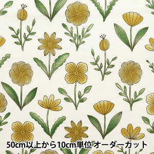 y5z n wIbNX XvOt[ CG[ NOX-SFL-YEx KOKKA RbJ