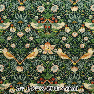 n wV&A V[`OLgJbgNX 105cm×50cm D_ CQ-VA10001-Bx