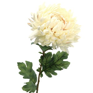 ���� �V���N�t�����[ �w�Z�s�A�}�� �N���[�� F5042-037�x