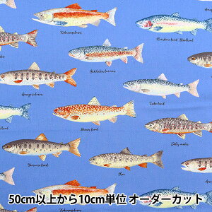 y5z n wcCvg gEg u[ KTS6959-Cx COTTON KOBAYASHI Rbg΂₵ ё@