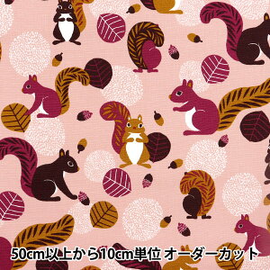 y5z n wIbNX Il X sN ON10641S-Bx