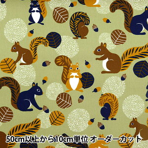 y5z n wIbNX Il X O[ ON10641S-Dx