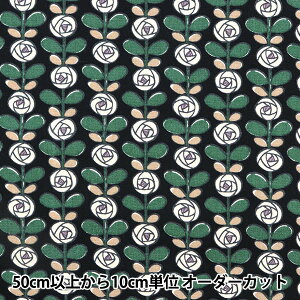 y5z n w̕z u[h ~jo ubN UP5793-Ex COTTON KOBAYASHI Rbg΂₵ ё@