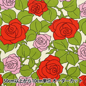 y5z n w̕z 10ԃLoX tX̃o [Y UP5855-Ax COTTON KOBAYASHI Rbg΂₵ ё@