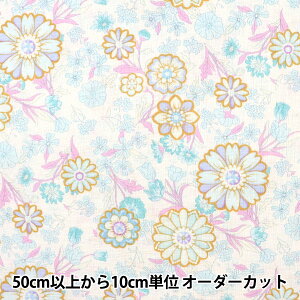 y5z n wKUNIKA ȖLoX Bohot[NbL[ L[gh[ KN444842-Cx YUWA L֏X