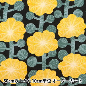 �y����5����z ���n �w�Ȗ��L�����o�X �f�U�C���t�����[ �C�G���[ KTS6786-D�x COTTON KOBAYASHI �R�b�g�����΂₵ ���ё@��