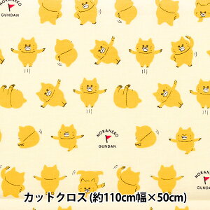 n wIbNX mlR񂾂  JbgNX 110×50cm Li NGF50-09Ax