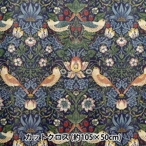 n wV&A V[`O~l[gJbgNX 105cm×50cm D_ C-R-VA10001-Ax