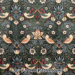 n wV&A V[`O~l[gJbgNX 105cm×50cm D_ C-R-VA10001-Ex