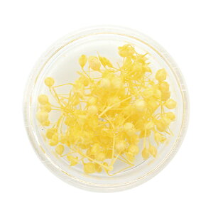 Wޗ wi`hCt[ A-144 x SMint GX~g