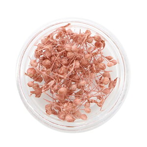 Wޗ wi`hCt[ A-146 x SMint GX~g