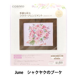 hイLbg wG߂ʂt[AWg June VNÑu[P 522206x LECIEN VA cosmo RX