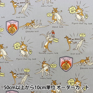 y5z n wcC JK[vX O[ KTS6806-Cx COTTON KOBAYASHI Rbg΂₵ ё@