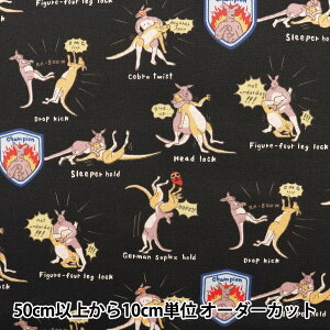 y5z n wcC JK[vX ubN KTS6806-Ex COTTON KOBAYASHI Rbg΂₵ ё@